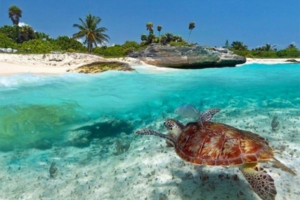 Aparthotel Kuwa Zanzibar Kiwengwa  Esterno foto